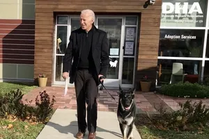 Ông Joe Biden dắt chú chó Major rời Hiệp hội Nhân đạo Delaware sau khi nhận nuôi con vật vào ngày 17-11-2018. Ảnh: DHA