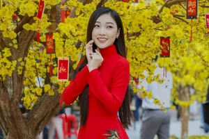 Chùm ảnh: Phố ông đồ rực rỡ sắc vàng dịp Tết Tân Sửu