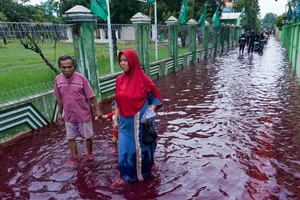 Làng Jenggot ngập trong màu nước đỏ thẫm sau khi xảy ra tình trạng lũ lụt. Ảnh: REUTERS