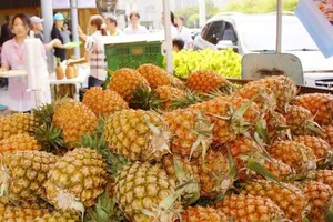 Phản đối Bắc Kinh, 'cơn sốt dứa Đài Loan' phủ khắp Nhật Bản. Ảnh: CNA