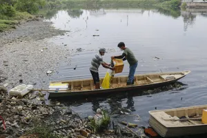 Vớt không nghỉ tay hơn 2 tấn cá chết trong ao