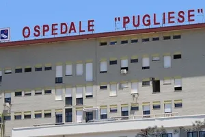 Không đi làm vẫn được nhận lương suốt 15 năm