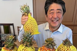 Cựu Thủ tướng Nhật Bản Shinzo Abe thể hiện sự ủng hộ đối với mặt hàng dứa Đài Loan.