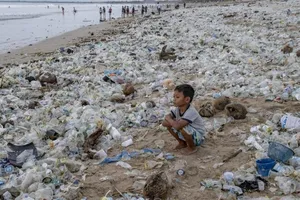 Các nhà khoa học TQ phát hiện tổ hợp vi khuẩn phân hủy nhựa. Ảnh: EPA-EFE