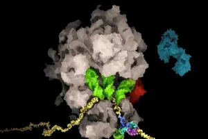 Giới khoa học Thụy Sĩ tìm ra tử huyệt của virus gây COVID-19. Ảnh: SAID SANNUGA, CELLSCAPE.CO.UK / ETH ZURICH, THE BAN LAB