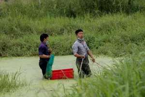 Chùm ảnh: 'Sống treo' ở khu đô thị mới Nam thành phố