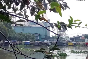 Nhà máy đường - cồn Long Mỹ Phát bị 'tuýt còi'