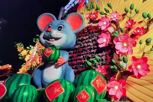 Cận cảnh đường hoa Cần Thơ 2020 trước giờ khai mạc