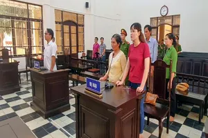 Hủy án vụ tai nạn giao thông ở Càng Long