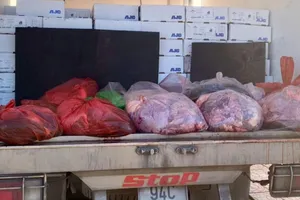 Chặn kịp thời 3,5 tấn đùi gà, nội tạng bò...không nguồn gốc