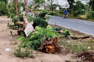 Hiện trường vụ tai nạn thương tâm. Ảnh: KH