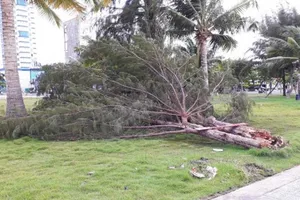 Kiên Giang: Chủ động ứng phó thiên tai giai đoạn chuyển mùa