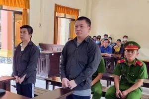 2 công nhân trộm 700 m dây cáp điện lãnh 8 năm tù 