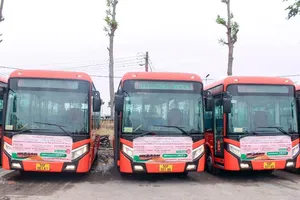 Cần Thơ cho 5 tuyến xe buýt Phương Trang hoạt động lại 