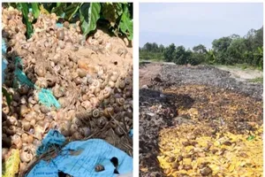 Hậu Giang: 2 công ty xả hơn 13 tấn chất thải rắn công nghiệp