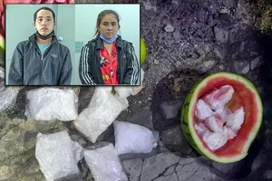  Nhét ma túy vào ruột quả dưa hấu chở đi bán thì bị bắt