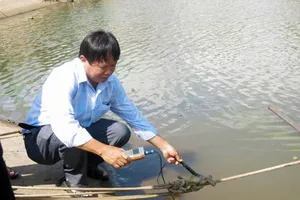 Độ mặn ở Sóc Trăng đang ở mức cao