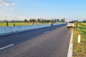 Hiện trường vụ án