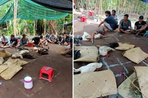 Tội phạm về trật tự xã hội ở Hậu Giang tăng so với cùng kỳ năm 2021