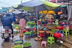 Phú Quốc: Nhiều dịch vụ tạm dừng, giá hành lá 250.000 đồng/kg