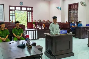 Làm giả giấy tờ đất, chiếm đoạt hơn nửa tỉ