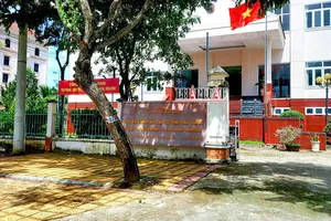 Hậu Giang: Thi hành án về tiền có nguy cơ không đạt chỉ tiêu