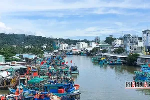 Kiên Giang phát hiện và xử lý 146 vụ tàu cá vi phạm hành chính 