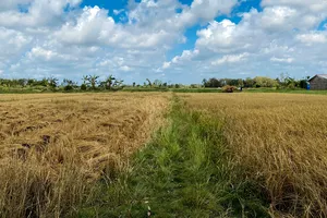 Hậu Giang xác định vùng có nguy cơ hạn, mặn để chủ động phòng, chống