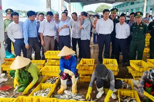 Phó Thủ tướng làm việc với Kiên Giang về chống khai thác IUU