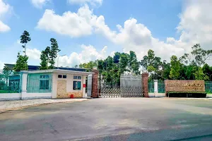 Kiên Giang kỷ luật 104 trường hợp đảng viên vi phạm