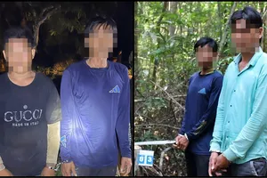 Phú Quốc: Đề nghị khởi tố 4 người khai thác lâm sản trái phép