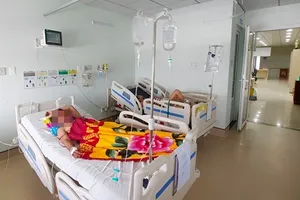 1 người tử vong, 2 người nhập viện sau tiệc nhậu với cá nóc