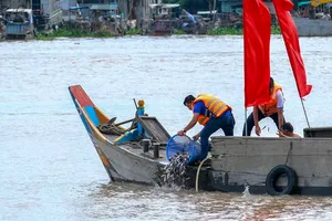 Thả hơn 11 tấn cá để tái tạo nguồn lợi thủy sản khu vực sông Hậu 
