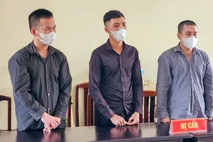 3 người đập phá mồ mả người khác ở Phú Quốc tiếp tục lãnh án 