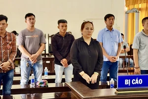 1 phụ nữ thuê giang hồ đập nhà, phá vườn trên đất đang tranh chấp