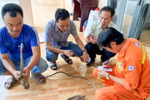 Bị bắt vì trộm dây tiếp địa của Trạm phân phối 500kV Sông Hậu 