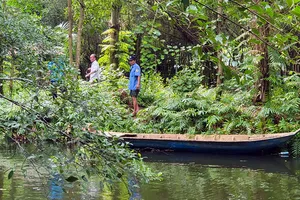 8 con cá sấu xổng chuồng ở Kiên Giang đã tìm lại được 4 con