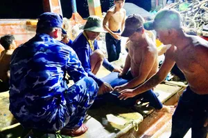 Ngạt khí độc trong hầm cá, 1 ngư dân tử vong