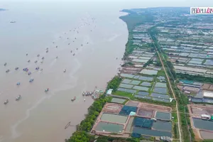 Video: Bến Tre bứt phá phát triển về hướng Đông