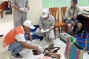 Hạt Kiểm lâm Vườn quốc gia Phú Quốc bắt 3 người săn, bắt động vật rừng