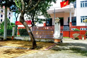 Hậu Giang: Án về tín dụng ngân hàng chỉ thi hành được 113 việc