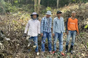 Hạt Kiểm lâm Vườn Quốc gia Phú Quốc bắt quả tang 4 người phá rừng