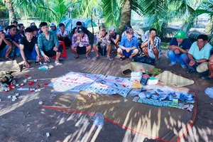 Thuê vườn dừa để tổ chức tụ điểm đá gà