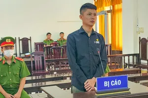 Tuyên phạt tù giám đốc lừa đảo chiếm đoạt tài sản