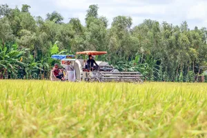 Phó Thủ tướng Trần Lưu Quang: Tuân thủ nguyên tắc và linh hoạt ứng xử