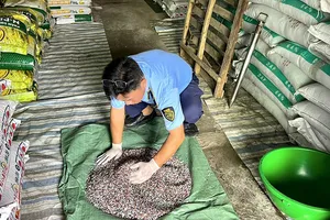 Kiên Giang: Phạt một số doanh nghiệp kinh doanh vàng trang sức vi phạm