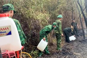 Hơn 6.770 ha rừng ở Phú Quốc có nguy cơ cao xảy ra cháy
