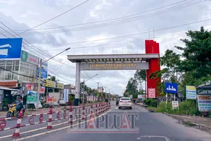 Chấp thuận cho Hậu Giang chuyển 15,5 ha đất lúa để làm khu đô thị mới 