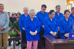 Phạt tù 8 bị cáo câu kết làm giả giấy khám sức khỏe bổ sung hồ sơ thi lái xe