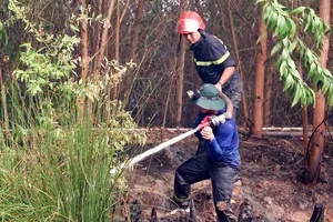 Từ đầu năm đến nay, Kiên Giang đã xảy ra 36 vụ cháy rừng